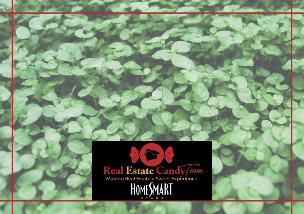 Finding Luck in Dallas on St. Patrick's Day - Greg Douglas - Real Etate Candy - Dallas Fort Worth Real Estate