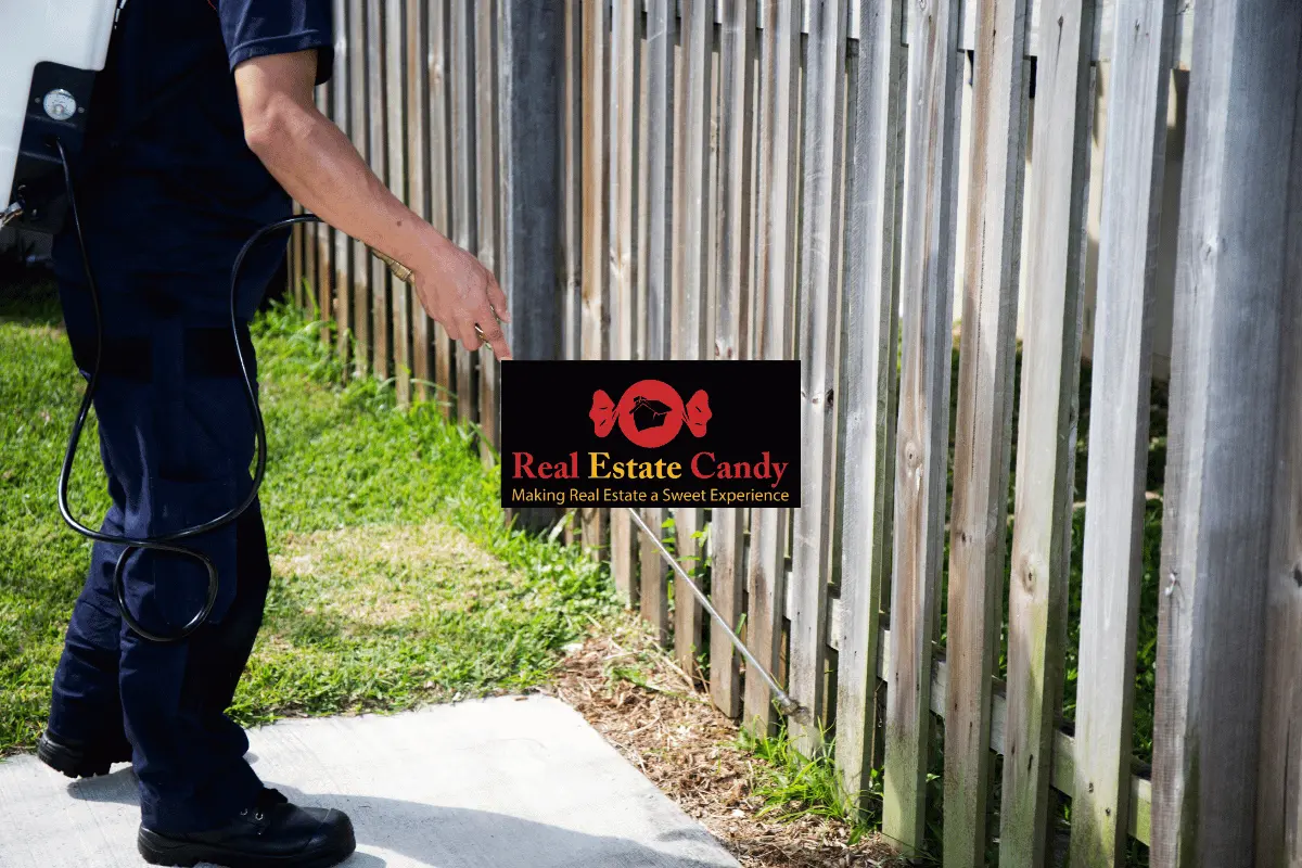 Pest Control in Carrollton: A Smarter Plan for Termites, Ants, and Seasonal Invaders